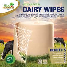 Eco Natural Dairy Wipes 6 pack