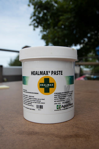 Healmax Paste 14oz