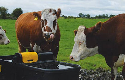 JFC Fast Fill Water Trough 90 gal